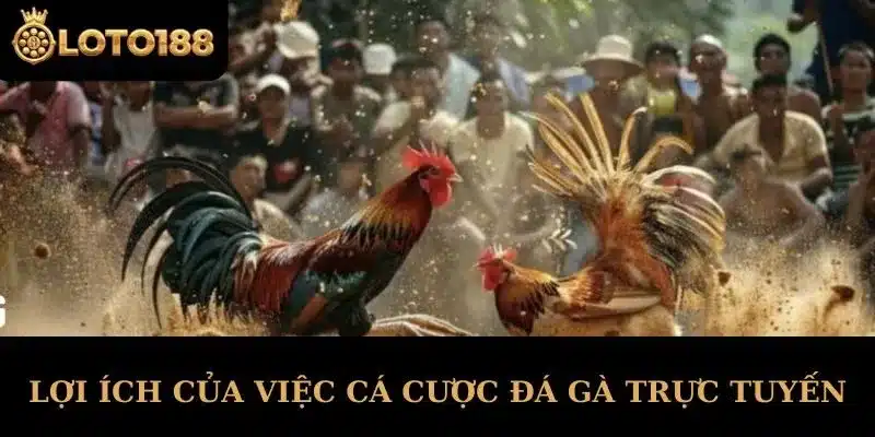 Lợi Ích Của Việc Cá Cược Đá Gà Trực Tuyến